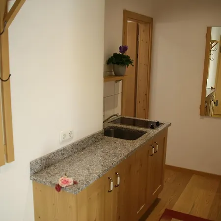 酒店 Schusterpeter 巴特特尔茨